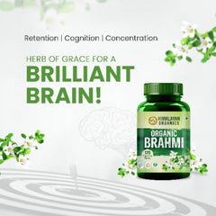 Himalayan Organics Brahmi Tablets Pure Herbs for Mind Wellness Helps Improves Alertness (120 Tablets)