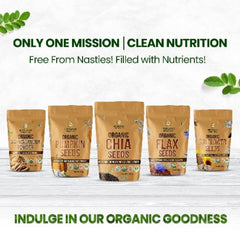 Himalayan Organics Certified Organic Moringa Powder (Moringa Oleifera) Herbal Supplement for Overall Wellness Powder 350g