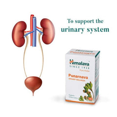 Himalaya Pure Herbs Urinary Wellness Herbal Ayurvedic Punarnava That Which Rejuvenates Or Renews The Body 60 Tablets