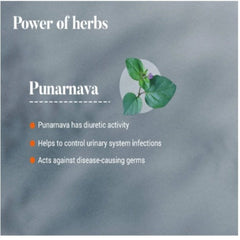 Himalaya Pure Herbs Urinary Wellness Herbal Ayurvedic Punarnava That Which Rejuvenates Or Renews The Body 60 Tablets