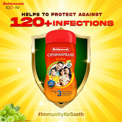 Baidyanath Ayurvedic Chyawanprash Special Immunity Booster For Strength & Stamina Paste