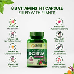 Himalayan Organics Plant Based B Complex Vitamins B12,B1,B3,B2,B9 - 60 Vegetarian Capsules