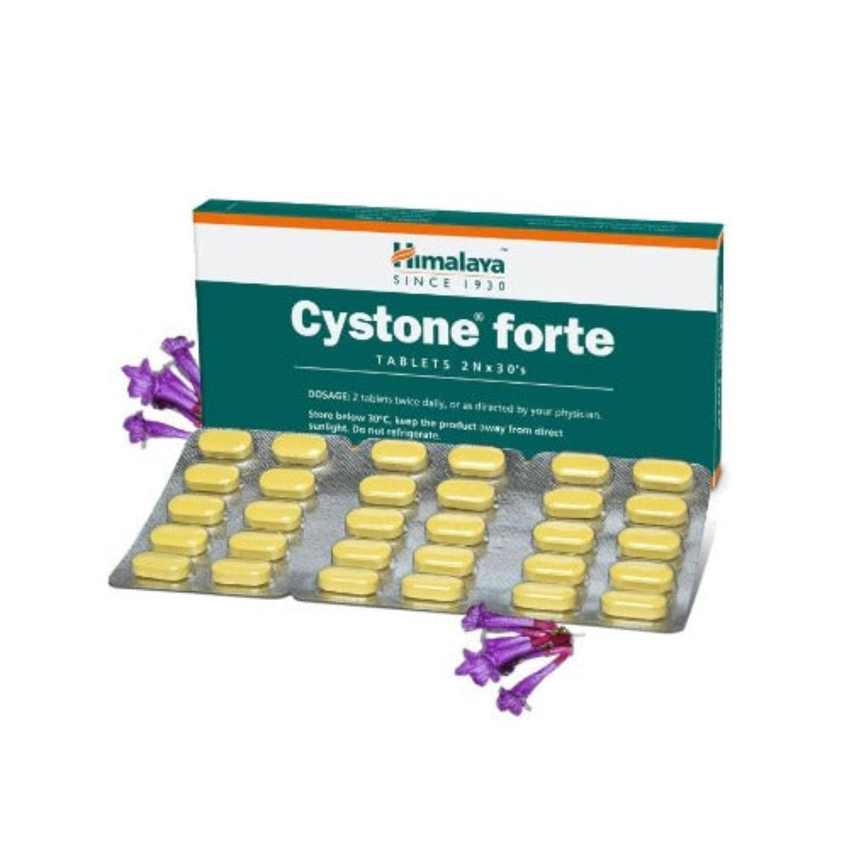 Himalaya Herbal Ayurvedic Cystone Forte 2 X 30 Tablet