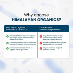 Himalayan Organics Probiotics Supplement 50 Billion CFU With Prebiotics 150mg For Digestion,Gut Health & Immunity 60 Vegetarian Capsules