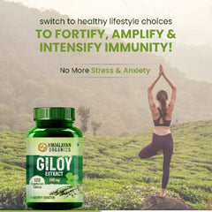 Himalayan Organics Giloy Extract Immunity Booster Helps in Blood Purification 120 Vegetarian Tablets