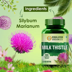 Himalayan Organics Milk Thistle Extract Detox Supplement For Men And Women With 800Mg Of Silybum Marianum For Healthy Liver Helps in Cleanse Liver 60 Vegetarian Capsules
