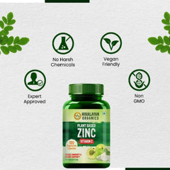 Himalayan Organics Plant Based Zinc With Vitamin C Builds Immunity & Anti Inflammation Acne Support 120 Vegetarian Capsules