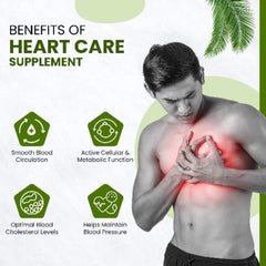 Himalayan Organics Heart Care Supplement With Arjuna Bark,Grape seed,CoQ10,Resveratrol,Cinnamon,Garlic 60 Vegetarian Tablets
