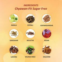 Baidyanath Ayurvedic Chyawan-Fit Chyawanprash Sugar Free