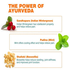 Himalaya Herbal Ayurvedic Rumalaya Pain Relief Massage Gel 30 g