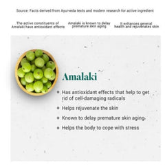 Himalaya Pure Herbs Immunity Wellness Herbal Ayurvedic Amalaki Promotes Health 60 Tablets