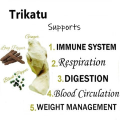 Himalaya Pure Herbs Digestive Wellness Herbal Ayurvedic Trikatu Relieves Indigestion 60 Tablets