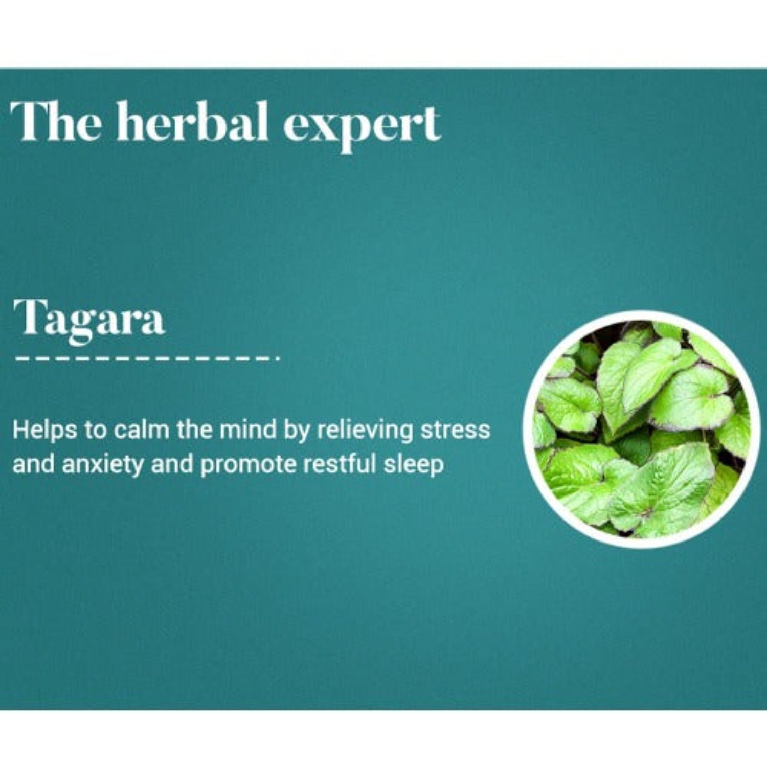 Himalaya Pure Herbs Sleep Wellness Herbal Ayurvedic Tagara Promotes Restful Sleep 60 Tablets