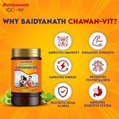Baidyanath Ayurvedic Chyawan Vit Sugar free Chyawanprash Boosts Immunity Enhances Strength & Stamina in Adults Fit for Diabetic