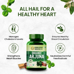 Himalayan Organics Ayurvedic Arjuna Tablets,Supports Heart Health,Manages Cholesterol Level (120 Tablets)