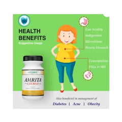 Apchem Amrita Ayurvedic Churna Effective Ayurvedic Remedy For Constipation And Body Digestive Tonic 80 Gm