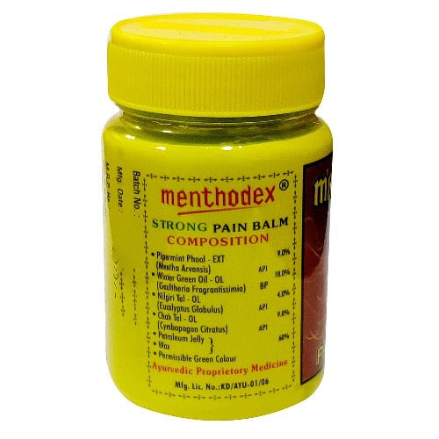 Doshi Laboratories Ayurvedic Menthodex Pain Balm