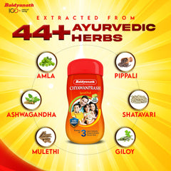 Baidyanath Ayurvedic Chyawanprash Special Immunity Booster For Strength & Stamina Paste