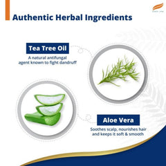 Himalaya Herbal Ayurvedic Personal Care Anti-Dandruff Tea Tree Up To 100% Free From Dandruff Shampoo