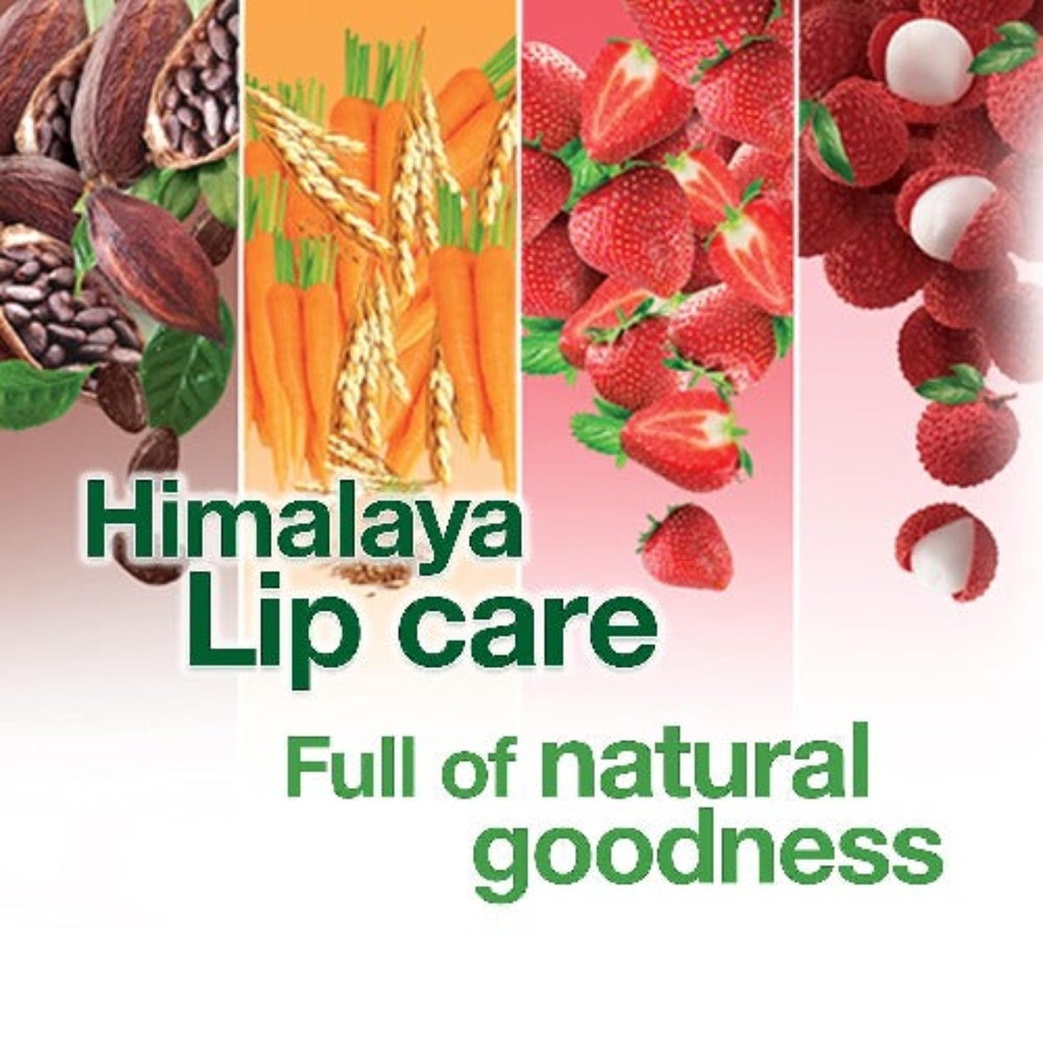 Himalaya Herbal Ayurvedic Personal Care Nourishes Lips Lip Balm