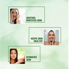 Bakson's Sunny Herbals Aloe Vera Skin With Aloe Vera For Healthy Skin Care Gel 100gm