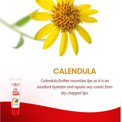 2 X Bakson's Sunny Herbals Lip Balm With Almond oil,Aloevera & Calendula Smooth & Glossy Lips Balm 10gm